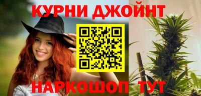 дживик Гай