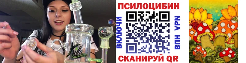 как найти закладки Луга Галлюциногенные грибы Cubensis