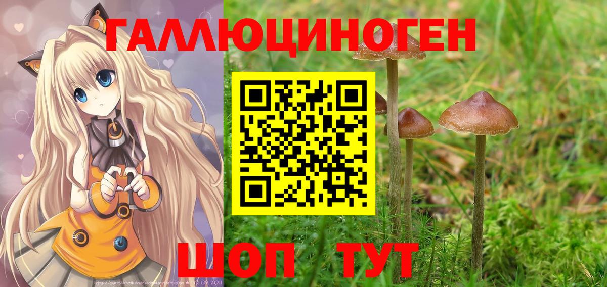 Луга  Псилоцибиновые грибы GOLDEN TEACHER  Вход с VPN 