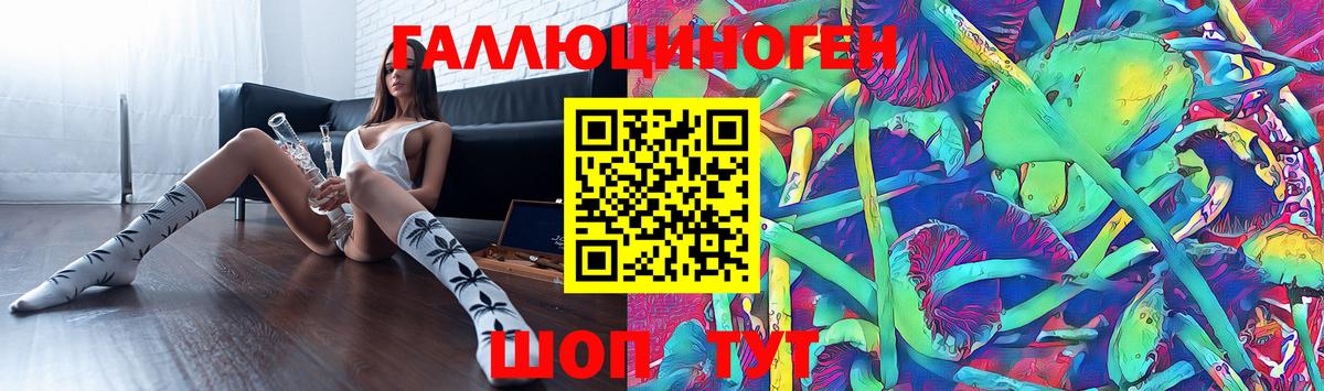 Псилоцибиновые грибы ЛСД Луга