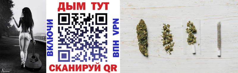 Канабис конопля  Луга 